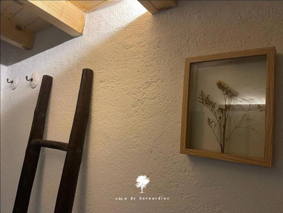 Вилла Casa Do Bernardino Cabril  Экстерьер фото