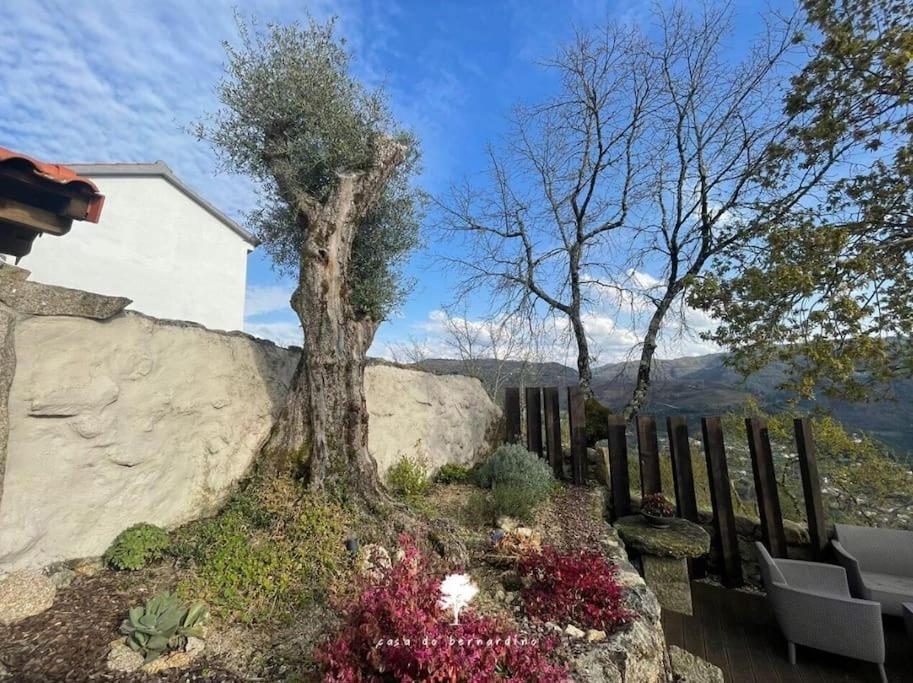 Вилла Casa Do Bernardino Cabril  Экстерьер фото